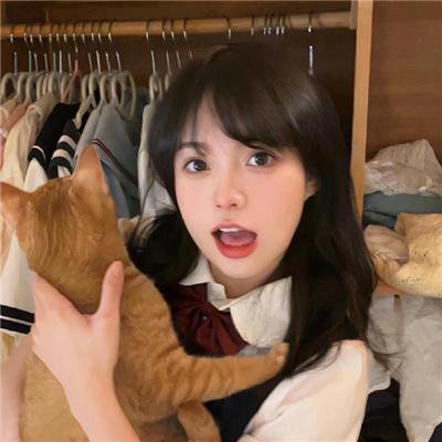 愤世嫉俗者、老鼠和拳头